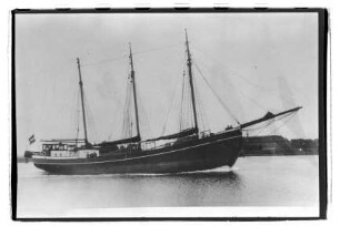 Geheimrat Koenigs (1930), H. Knüppel, Finkenwerder