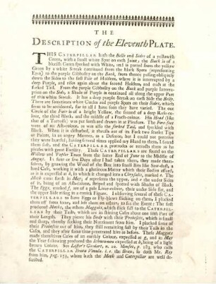 The Description of the Eleventh Plate
