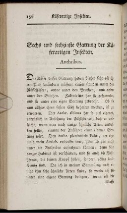 Sechs und sechzigste Gattung der Käferartigen Insekten. Anthribus.