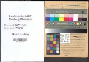 Entnazifizierung Ludwig Gruen , geb. 10.01.1905 (Ingenieur)