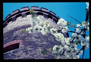 Spandau / Juliusturm 30.4.66.
