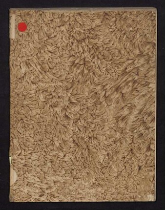 Commentatio Medico-Obstetricia De Symptomatibvs Et Signis Graviditatis Verae Simplicis Vterinae Eorvmqve Cavssis
