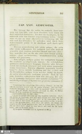 Cap. XXIV. Gespenster