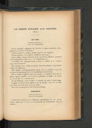 Le Jardin potager aux colonies