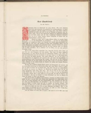 Das Muskelbuch