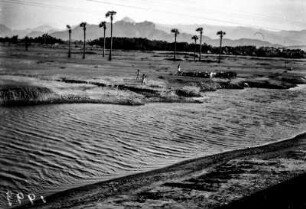 Landschaft (Deutsche Indien-Expedition 1926/1929 - 5. Südindien)