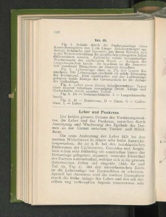 Tab. 23.