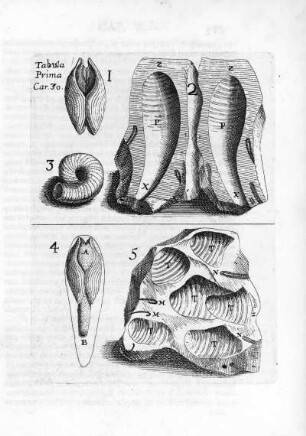 Tabula Prima