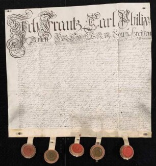 Testimonium probationis des Franz Karl Philipp Anton Greiffenclau von Vollrads.