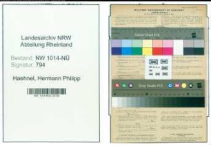 Entnazifizierung Hermann Philipp Haehnel , geb. 01.05.1891 (Kaufmaennischer Angestellter)