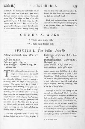 Genus XI. Auks