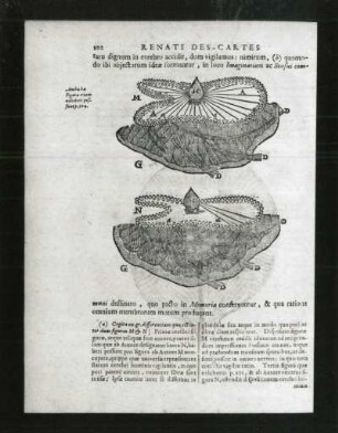 Rene Descartes (1596-1650). Das Gehirn. Illustration aus: Prinicipia Philosophiae.opera philosophia. Buchdruck, 1692. Dresden SLUB Phil.A.124, Vol. II