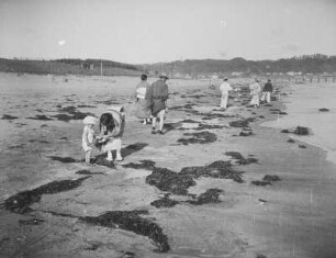 Strandgänger in Kamakura : Kamakura. Spaziergänger am Strand
