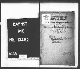 Wiesent (Bezirksamt Regensburg), Volksschule