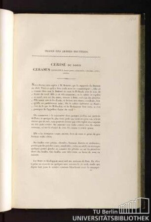 Traité des arbres fruitiers. Cerise du nord. Cerasus longipes, fructu parvo, subrotundo, ruberrimo, acido, serotino.