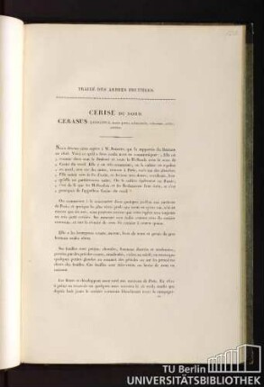 Traité des arbres fruitiers. Cerise du nord. Cerasus longipes, fructu parvo, subrotundo, ruberrimo, acido, serotino.