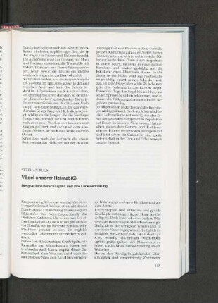 Vögel unserer Heimat (6). Die grazilen Uferschnepfen und ihre Liebeserklärung.