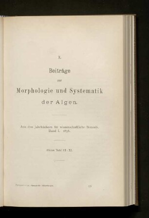 X. Beiträge zur Morphologie und Systematik der Algen
