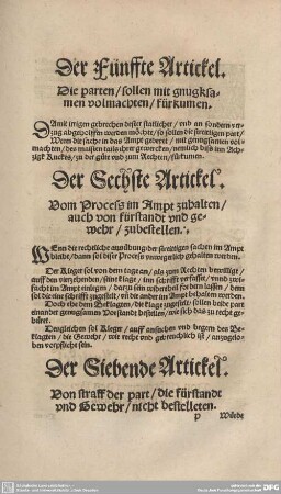 Der Sechste Artickel. Vom Process im Ampt zuhalten/auch von fürstandt und gewehr / zubestellen.