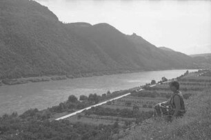 Schwallenbach: Blick ins Donautal, stromaufwärts