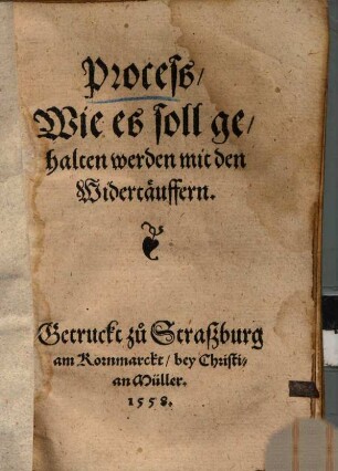 Proceß wie es soll gehalten werden mit den Widertäuffern d.a. 1557