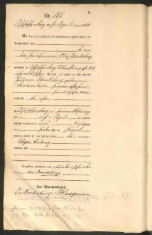 Standesamtsbuch der Stadt Aschaffenburg: Geburten 365/1900 - 184/1901