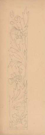 Ornament: Ansicht