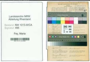 Entnazifizierung Maria Fey , geb. 14.06.1889 ()