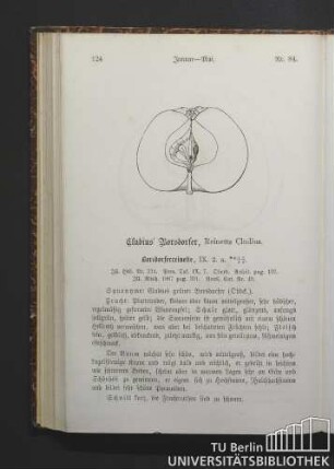 Nr. 84. Cludius' Borsdorfer, Reinette Cludius.