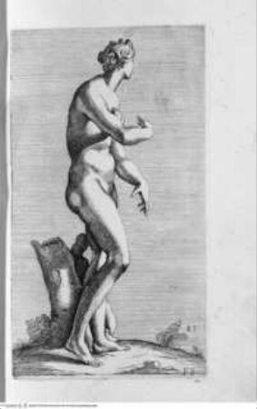 Segmenta nobilium signorum e[t] statuaru[m], quae temporis dentem invidium evasere, urbis aeternae ruinis erepta typis aeneis ab ce commissa perpetuae venerationis monumentum. (Romae) 1638 (1653)Tafel 83: Venus Aphrodotis - Illmo. D. D. Rogerio Duplesseis Dño. de Liancourt Marchioni de Montfort, comiti de la Rocheguion E.a. ... [Icones et] segmenta nobilium signorum et statuarum quae temporis dentem invidium evasere urbis aeternae ruinis erepta typis aeneis ab ce comissa perpetuae venerationis monumentum