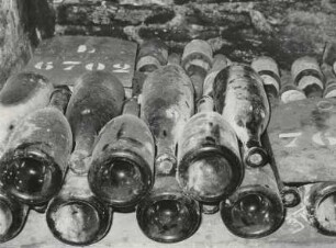 Alte Burgunderweine in den Kellern des Chateau Pommard bei Beaune