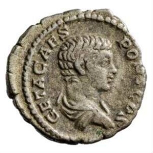 Münze, Denar, 203 - 208 n. Chr.