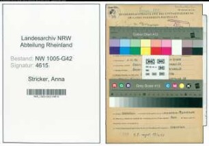 Entnazifizierung Anna Stricker , geb. 01.11.1896 ()