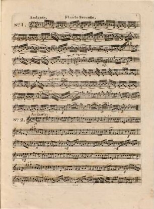 Der Spiegel von Akadien : opéra, en duos pour deux flûtes traversières ; no. 9