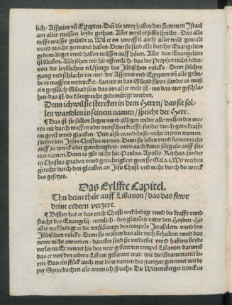 Das Eylffte Capitel.