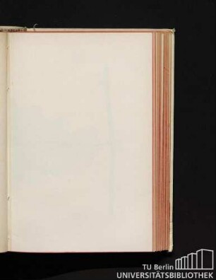 Fig. 20. - Bicane. 1/2 grand. nat.