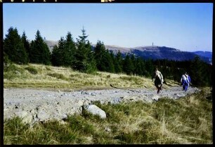 Stübenwasen: Feldbergblick vom Dreiländerweg [im Vordergrund Wanderer]