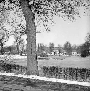 Jersbeker Teich: vorn Jersbeker Straße mit Baum und Hecke: im Hintergrund Gebäude des Gutes Jersbek: Winter