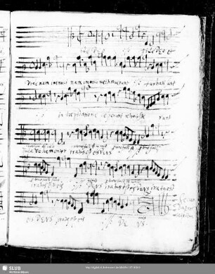 95 Anonymus: Fide Deo et vide