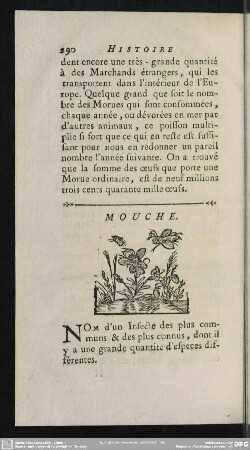 Mouche