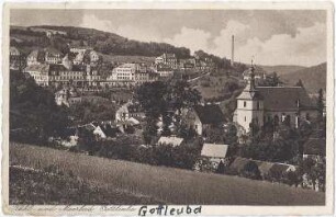 Bad Gottleuba-Berggießhübel, Gottleubatal. Blick auf die Ortschaft, Ansichtskarte