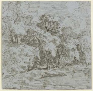 Uferlandschaft mit Bäumen