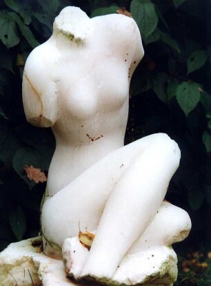 Torso
