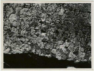 geras [gerasch, gerasa, Inschrift]