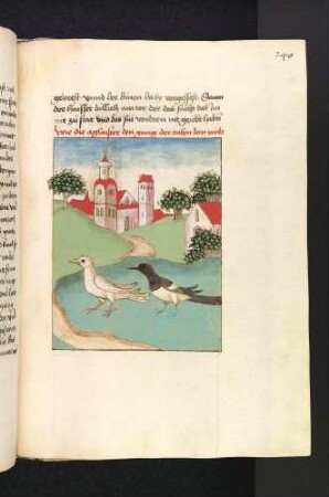 Die Taube und die Elster; (Kapitel XII: Von dem Einsiedler und dem Waller)