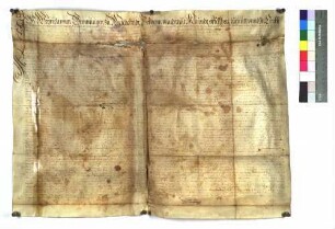 Urkunde Weyrichs von Gemmingen zu Michelfeld