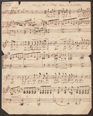 Mit einer Rose - BSB Mus.ms. 16188