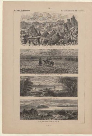 Aus der Prairie (südl. vom Winnipegsee)