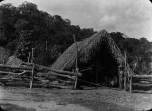 Tropenhaus : Hütte mit Dach aus Motacublättern