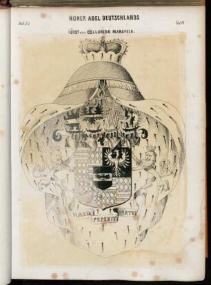 Taf. 18. Fürst von Colloredo Mansfeld.